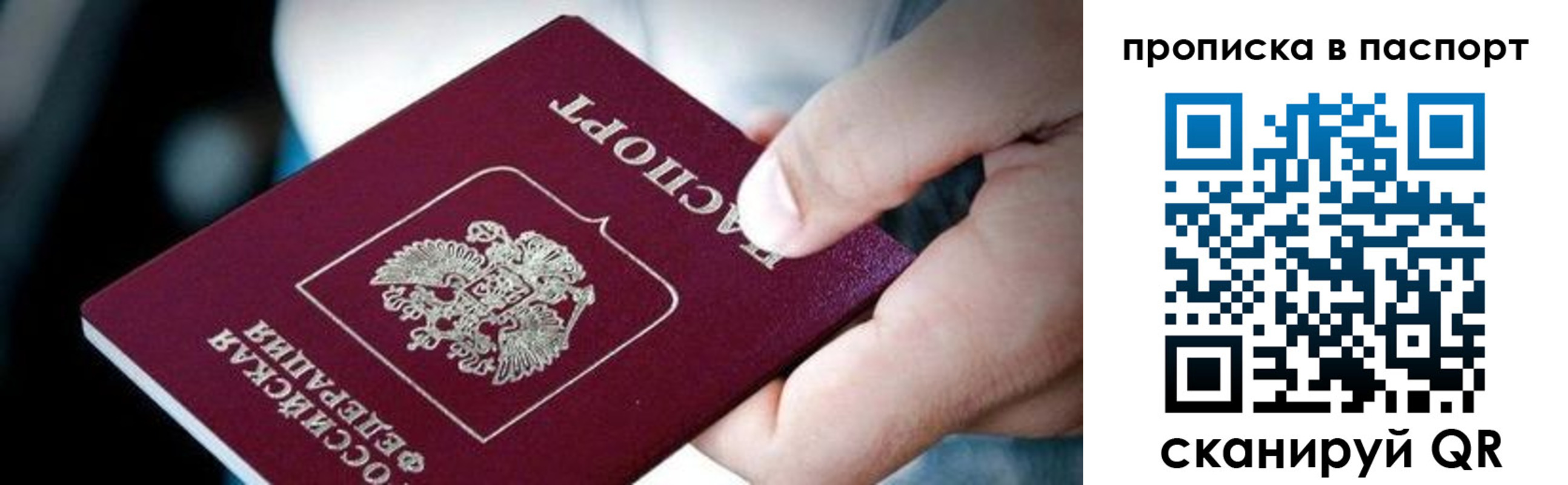 прописка регистрация в Электрогорске