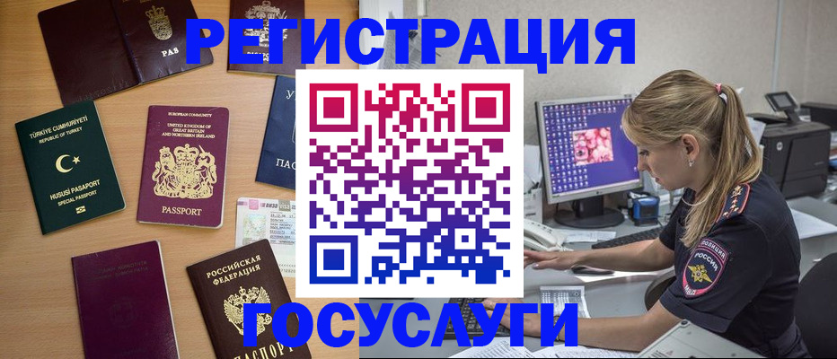 прописка для школы в Электрогорске